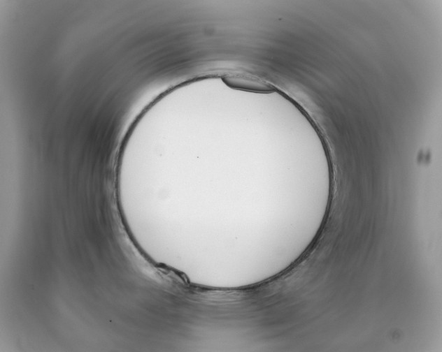 X0000089831392200707262014