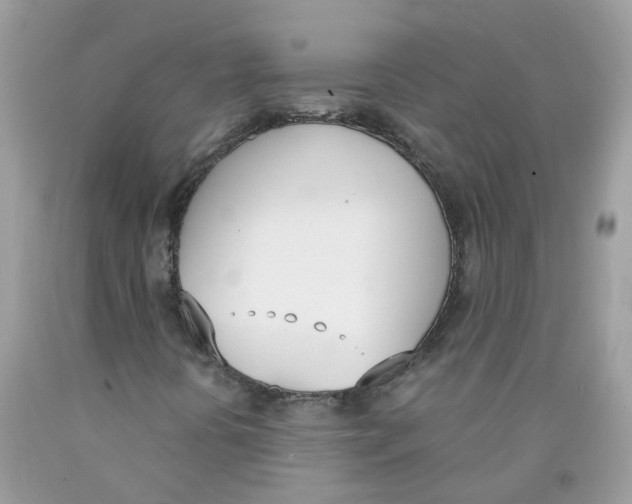 X0000089831394200707262014