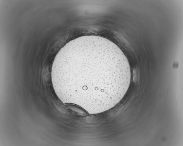 X0000089831395200707262014