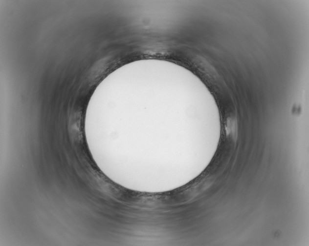 X0000089831396200707262014