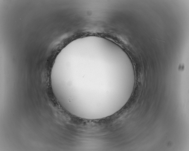 X0000089831398200707262014