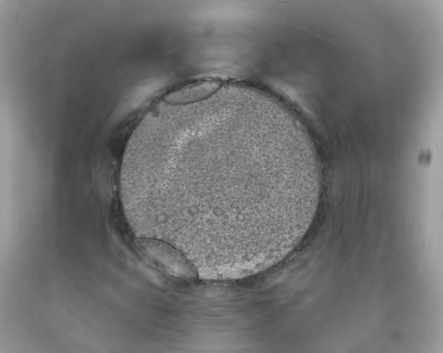 X0000089831399200707262014