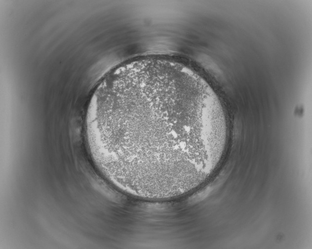 X0000089831401200707262014