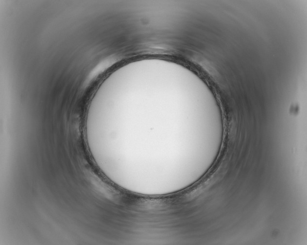 X0000089831402200707262014