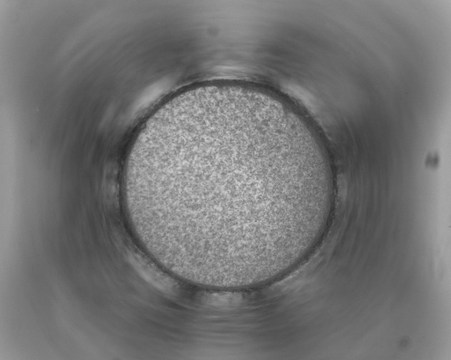 X0000089831403200707262014