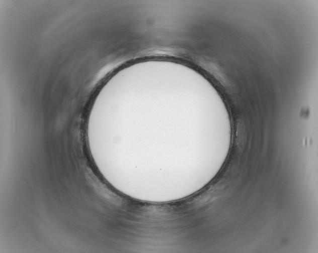 X0000089831404200707262014