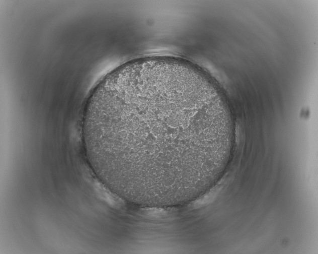 X0000089831405200707262014