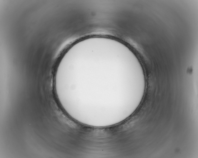 X0000089831408200707262014