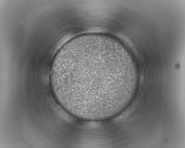 X0000089831409200707262014