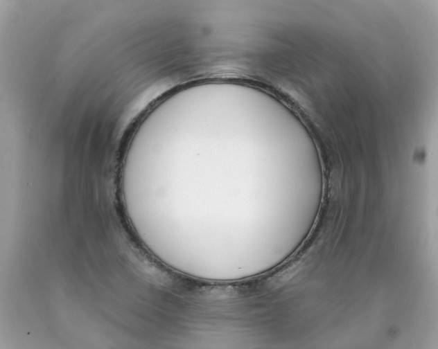 X0000089831410200707262014