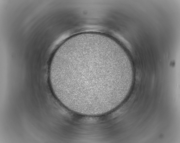 X0000089831411200707262014