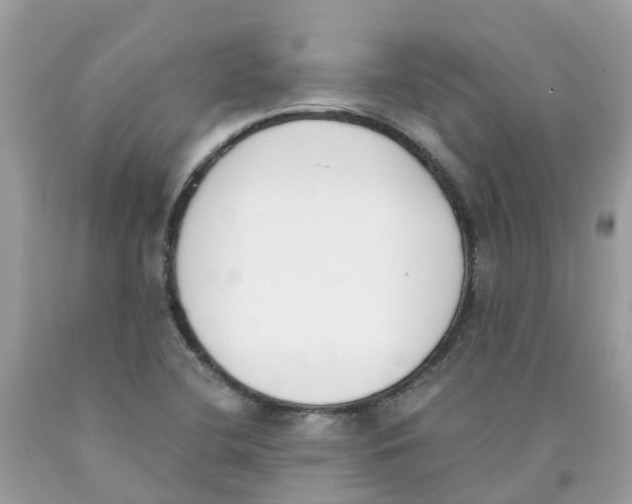 X0000089831412200707262014