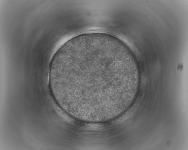 X0000089831413200707262014