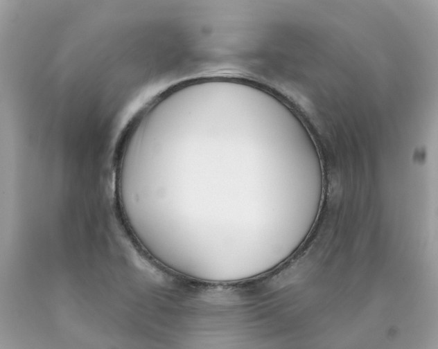 X0000089831414200707262014