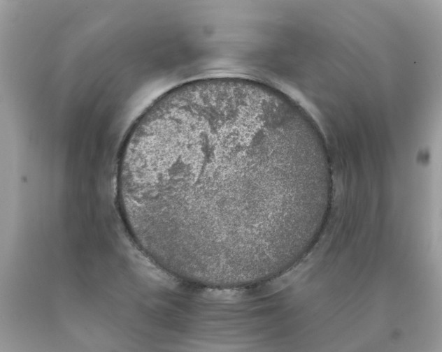 X0000089831415200707262014