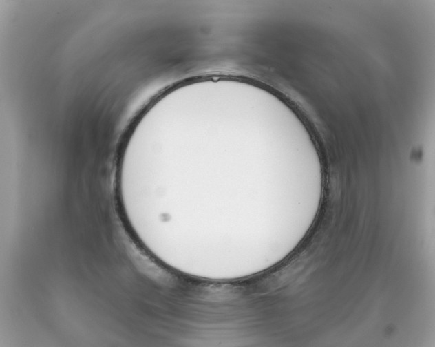 X0000089831416200707262014