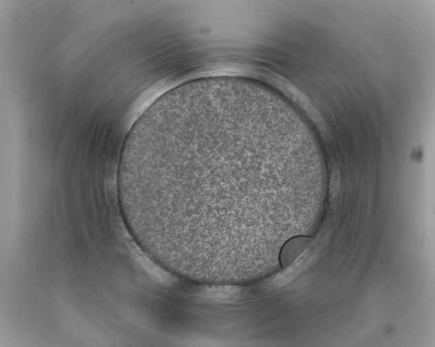 X0000089831417200707262014