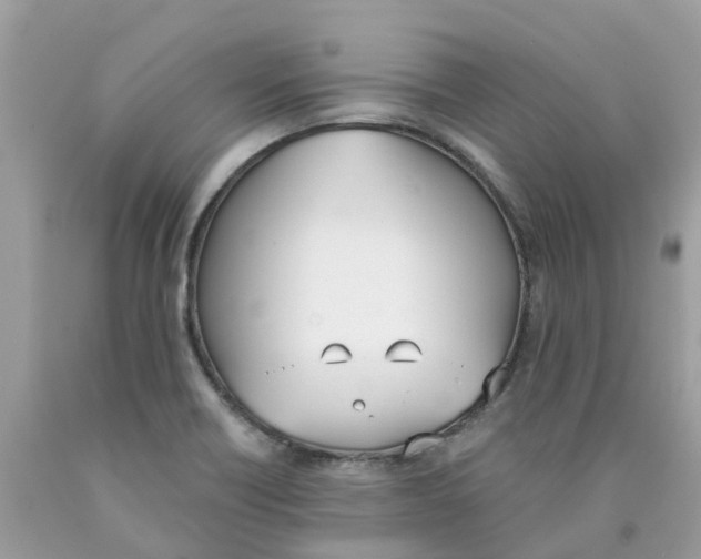 X0000089831418200707262014