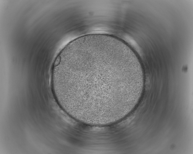 X0000089831419200707262014