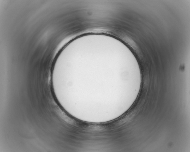 X0000089831420200707262014