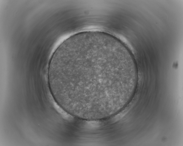 X0000089831421200707262014