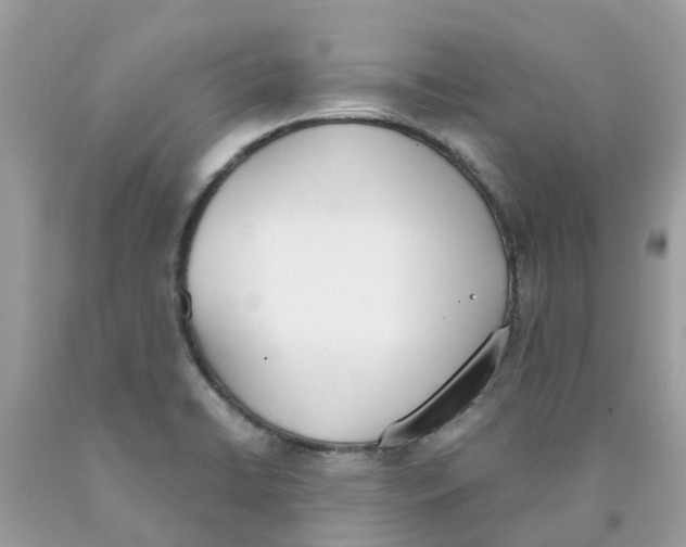 X0000089831422200707262014