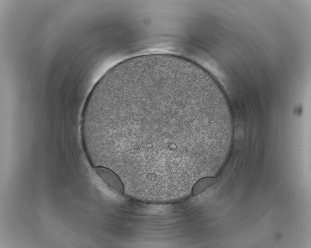 X0000089831423200707262014