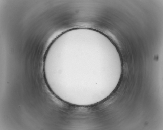 X0000089831424200707262014