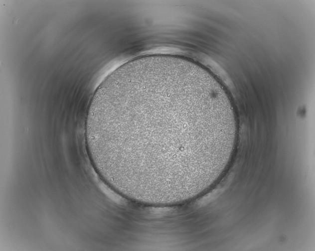 X0000089831425200707262014