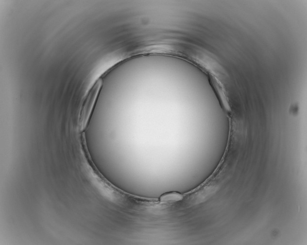 X0000089831426200707262014