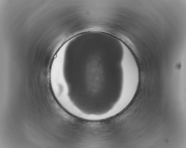 X0000089831428200707262014