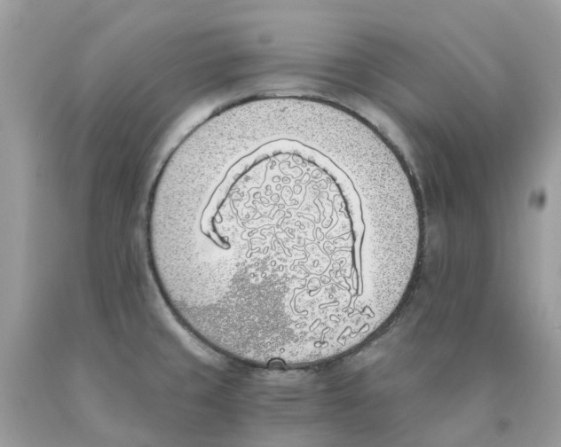 X0000089831429200707262014