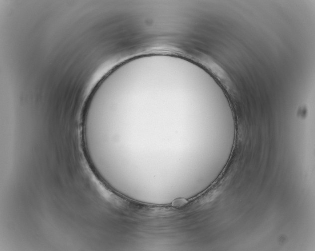 X0000089831430200707262014