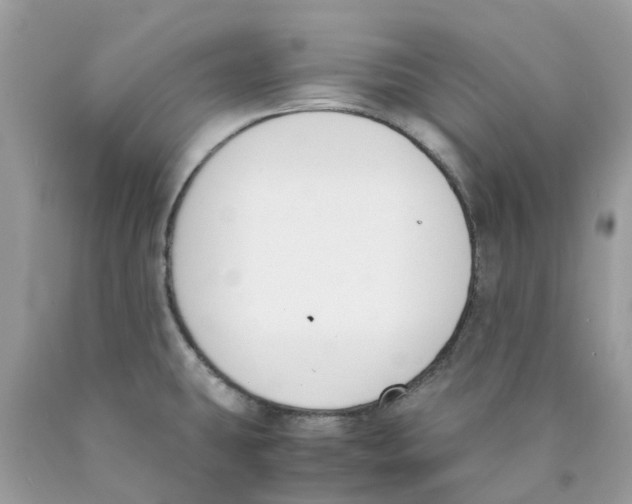 X0000089831431200707262014