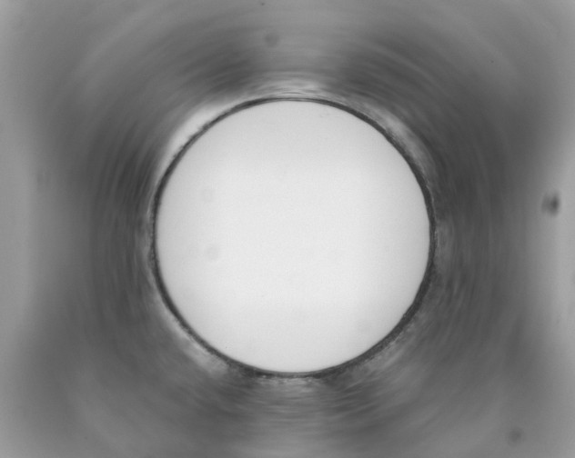 X0000089831432200707262014