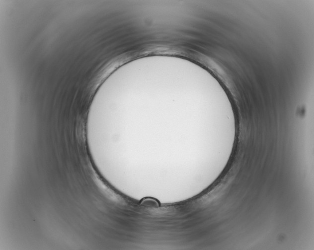 X0000089831433200707262014