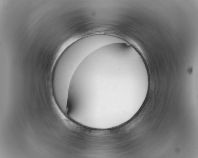 X0000089831434200707262014