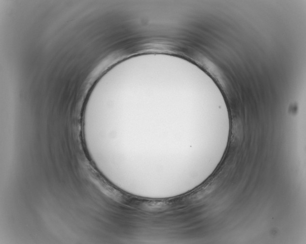 X0000089831435200707262014