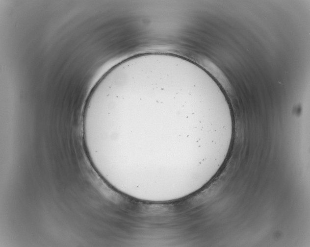 X0000089831436200707262014