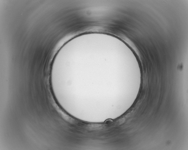 X0000089831437200707262014