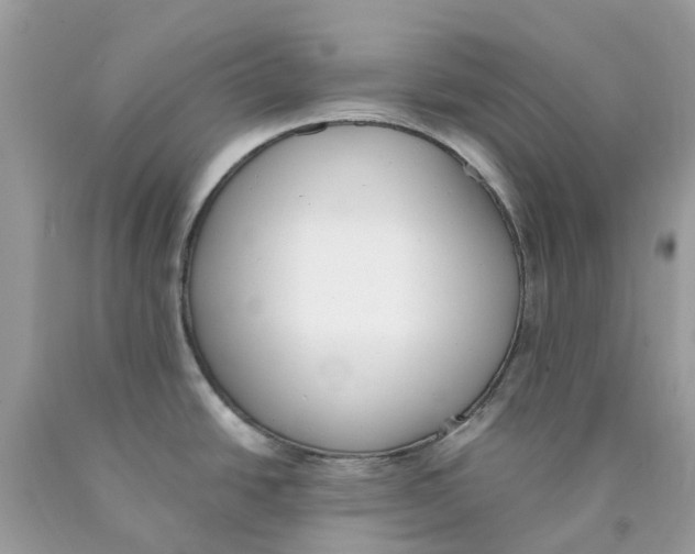 X0000089831438200707262014