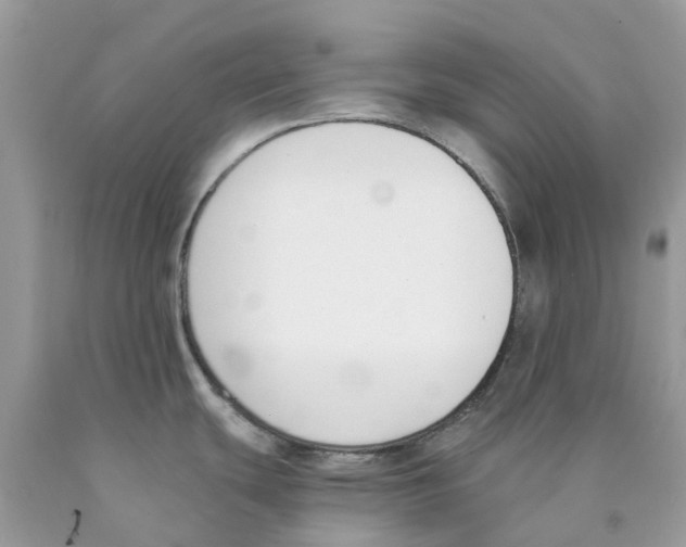 X0000089831439200707262014