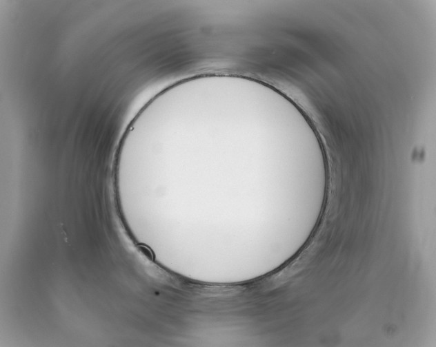 X0000089831440200707262014