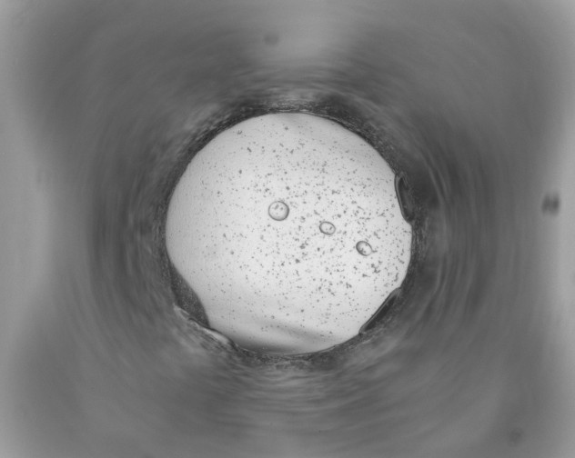 X0000089831441200707262014