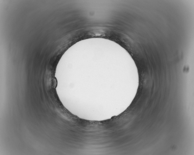 X0000089831442200707262014