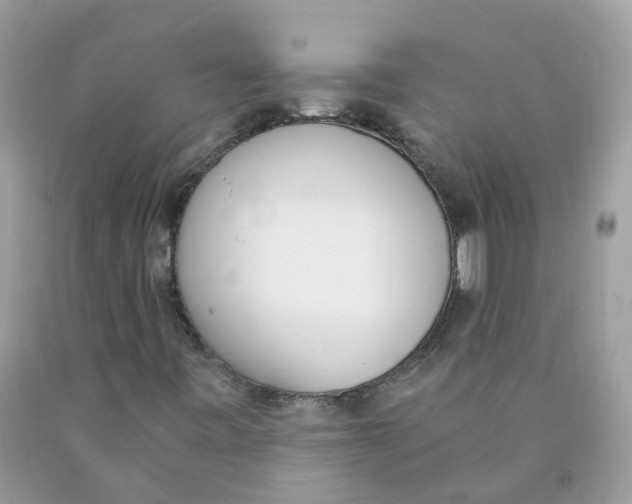 X0000089831443200707262014