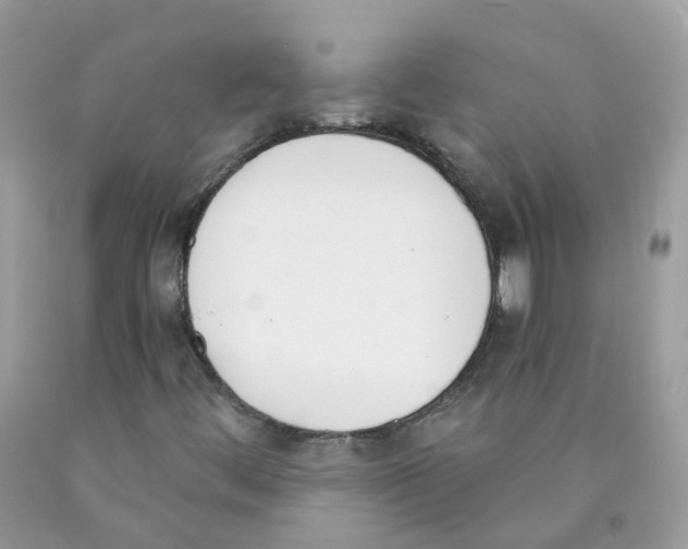 X0000089831444200707262014