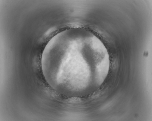 X0000089831446200707262014