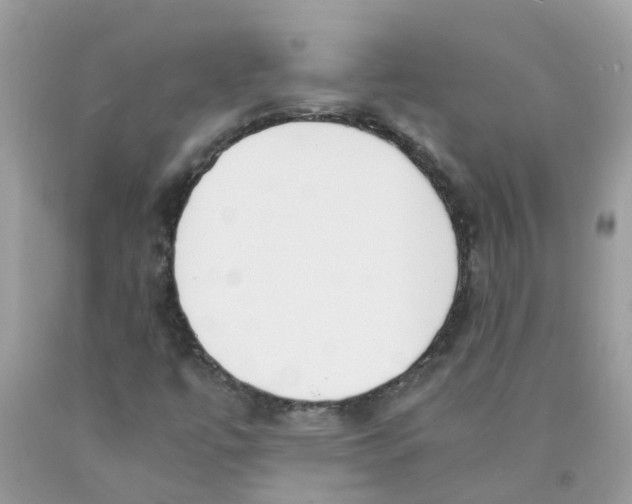 X0000089831447200707262014