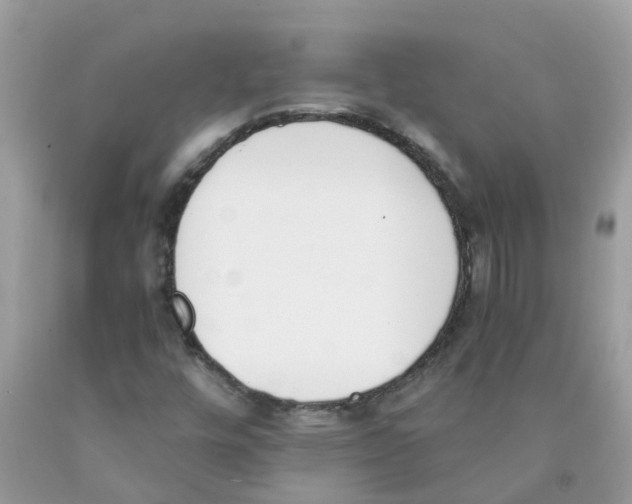 X0000089831448200707262014